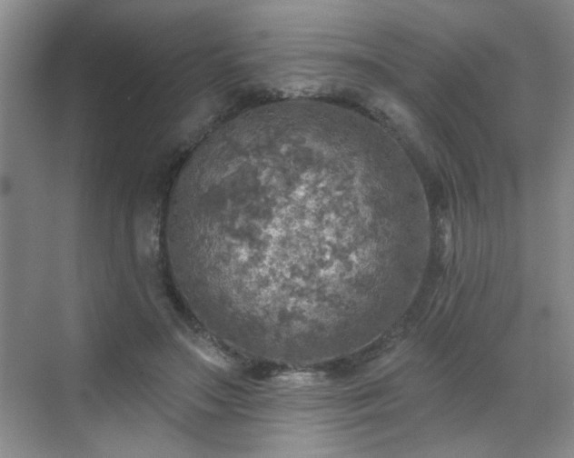 X0000070420499200606161441