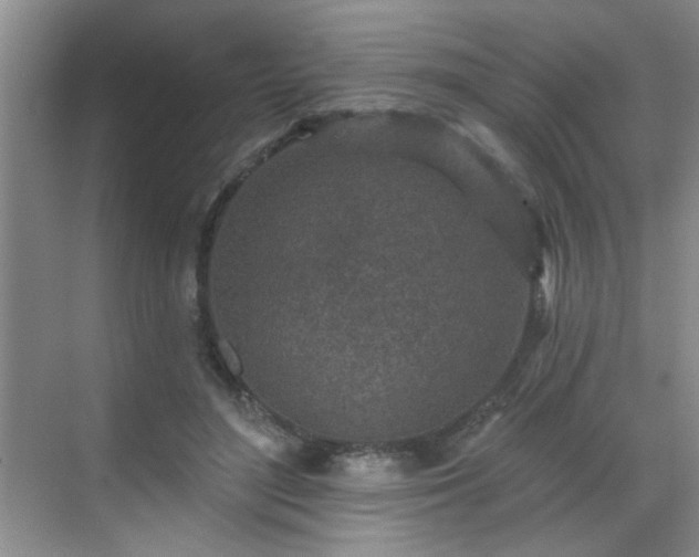 X0000070420500200606161441