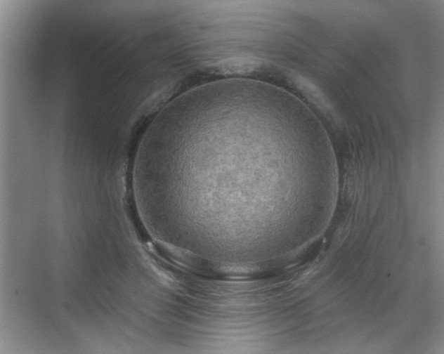 X0000070420501200606161441