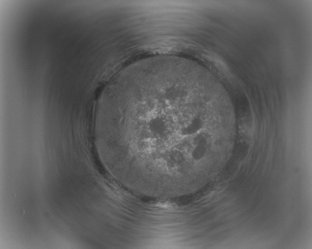 X0000070420503200606161441