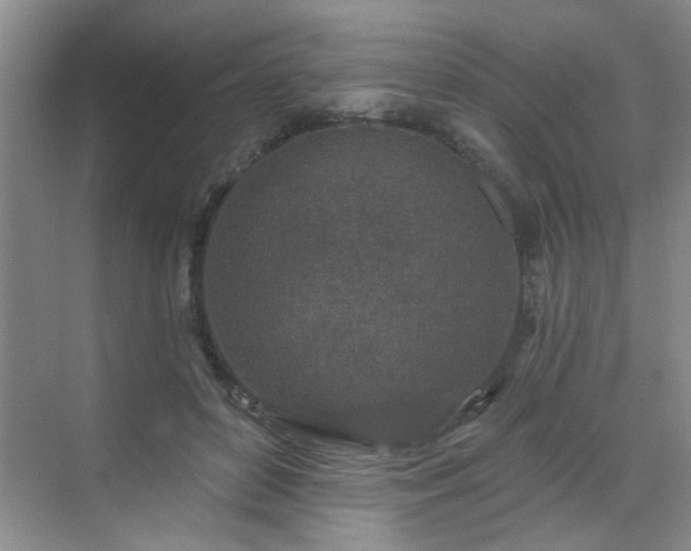 X0000070420504200606161441