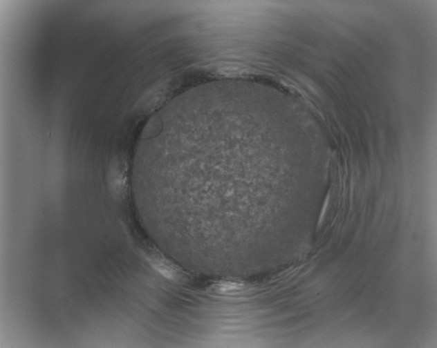 X0000070420507200606161441