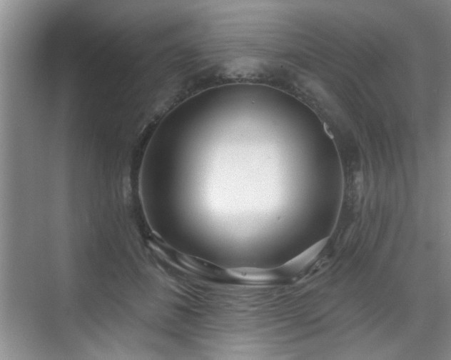 X0000070420508200606161441