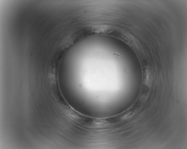 X0000070420510200606161441