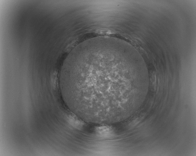 X0000070420511200606161441