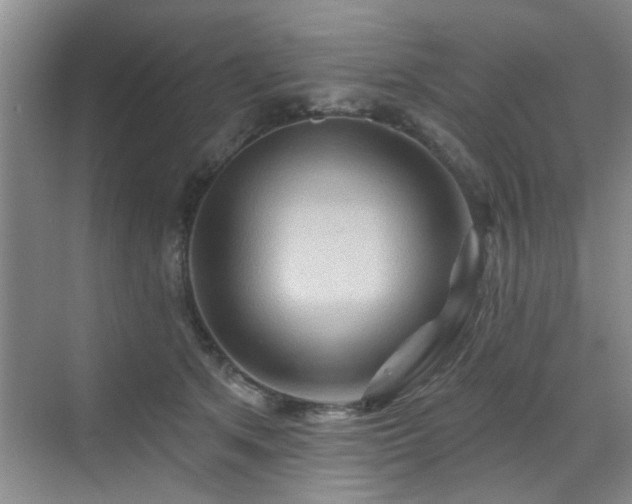 X0000070420513200606161441