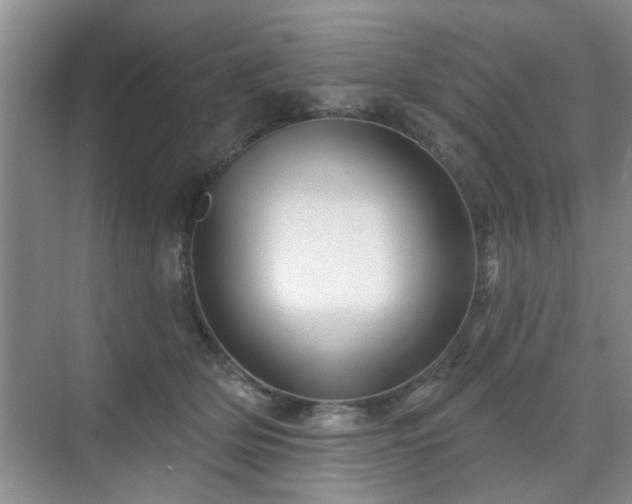 X0000070420514200606161441