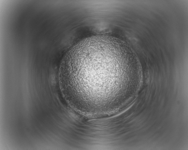 X0000070420515200606161441