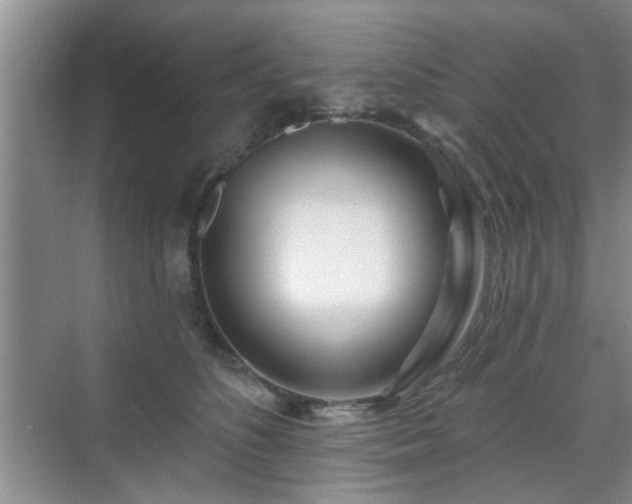 X0000070420516200606161441