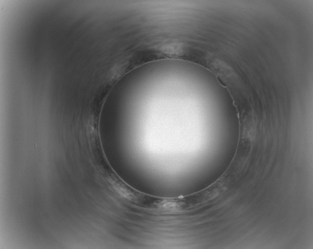 X0000070420518200606161441