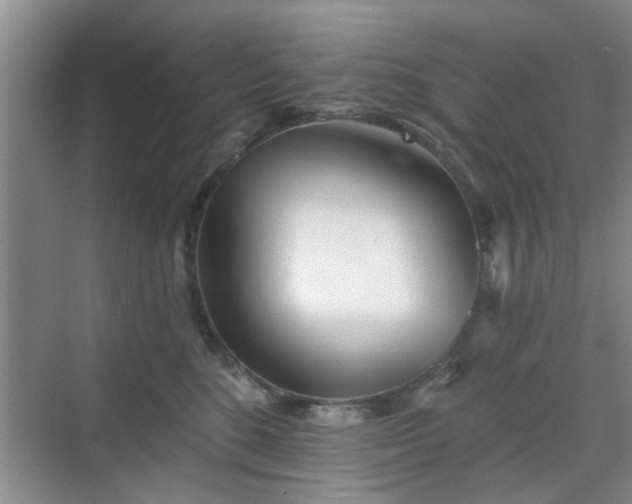 X0000070420520200606161441