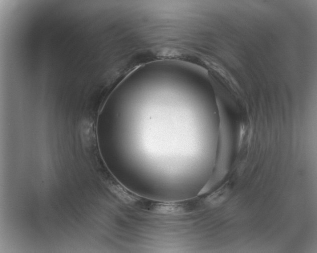 X0000070420521200606161441