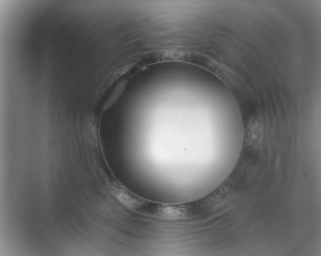 X0000070420522200606161441