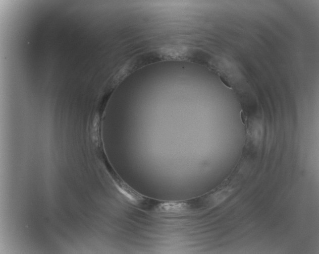 X0000070420526200606161441