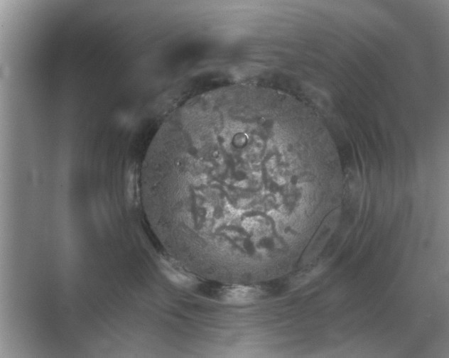 X0000070420527200606161441