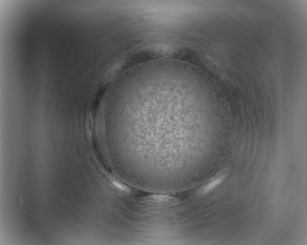 X0000070420528200606161441