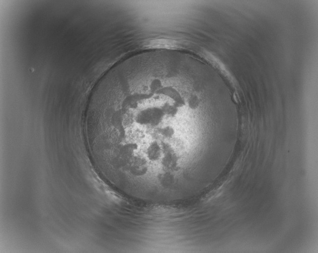 X0000070420529200606161440