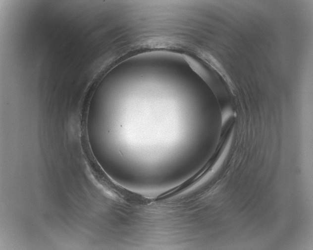 X0000070420530200606161440