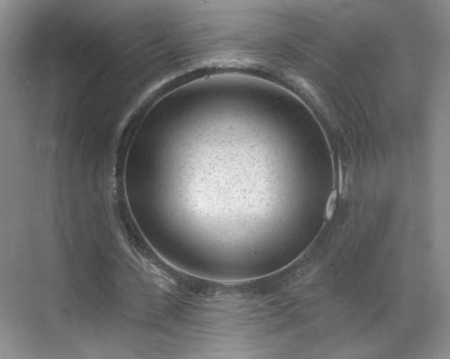 X0000070420531200606161440