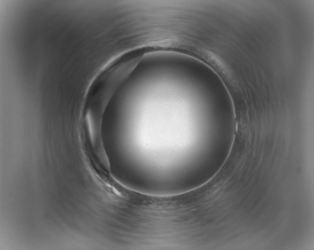 X0000070420532200606161440