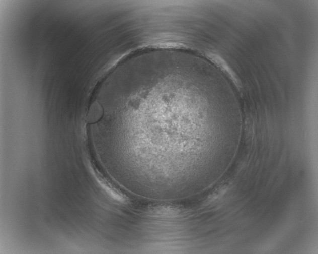 X0000070420533200606161440