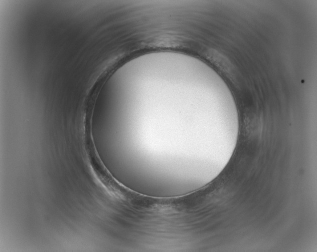 X0000070420534200606161440