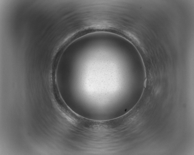 X0000070420535200606161440