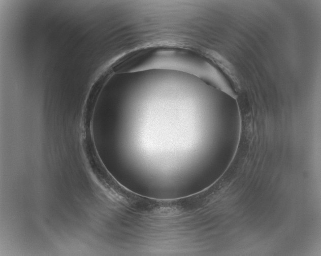 X0000070420536200606161440