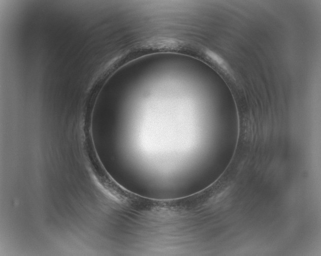 X0000070420538200606161440