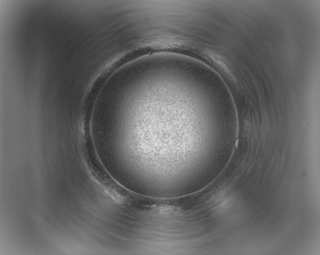 X0000070420539200606161440