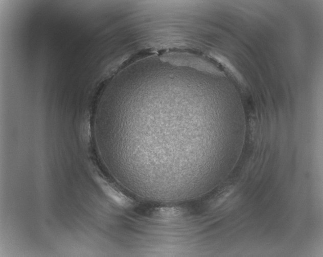 X0000070420541200606161440