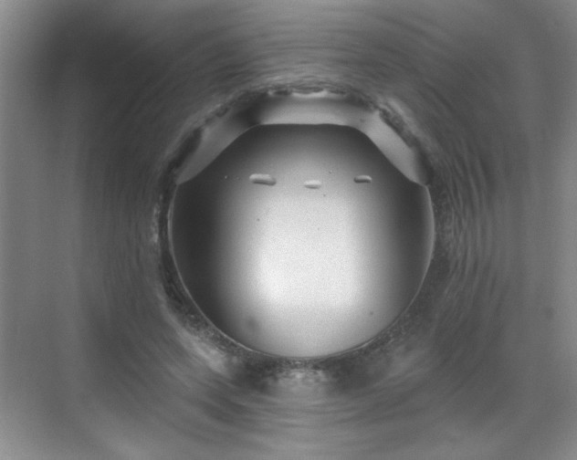 X0000070420543200606161440