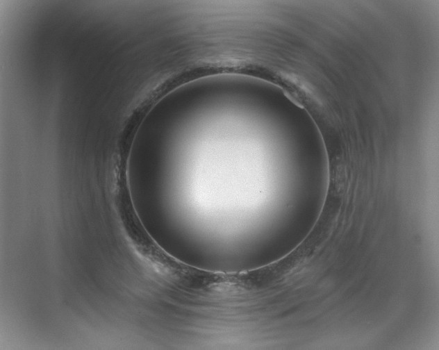 X0000070420544200606161440