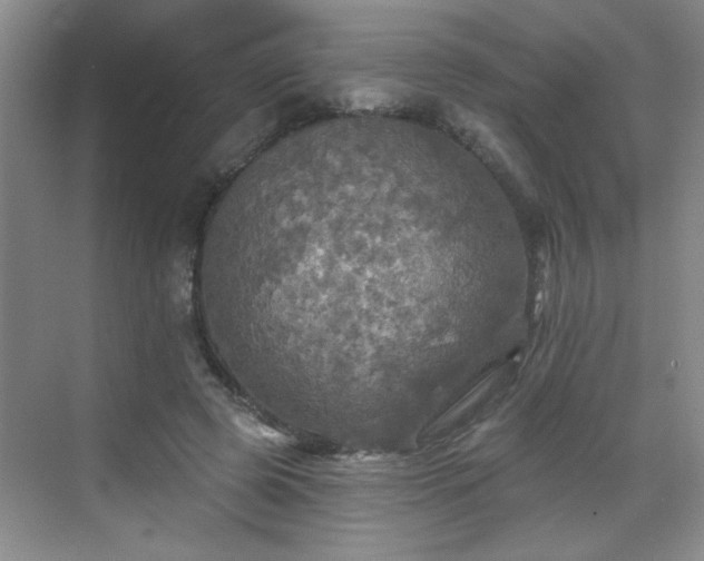 X0000070420545200606161440