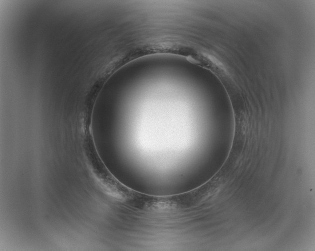 X0000070420546200606161440