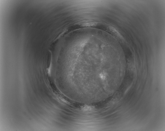 X0000070420549200606161441