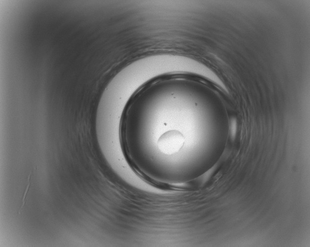 X0000070420556200606161441