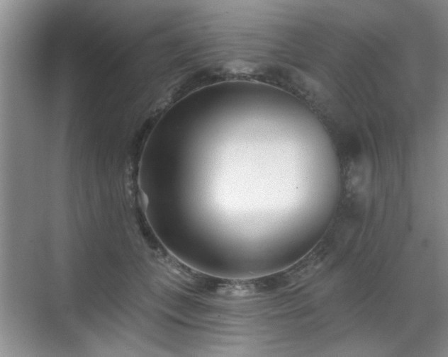 X0000070420559200606161441