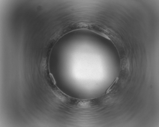 X0000070420560200606161441