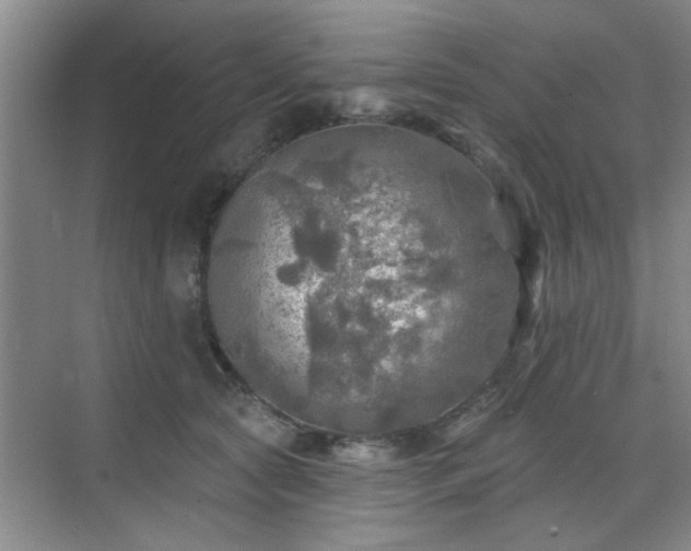 X0000070420561200606161441