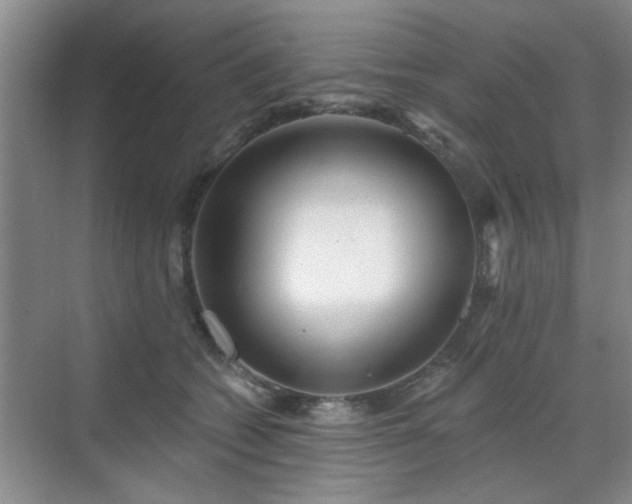 X0000070420562200606161441