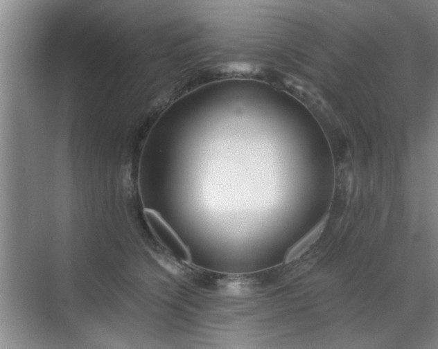 X0000070420564200606161441