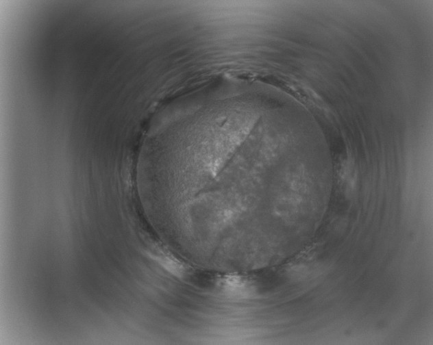 X0000070420565200606161441