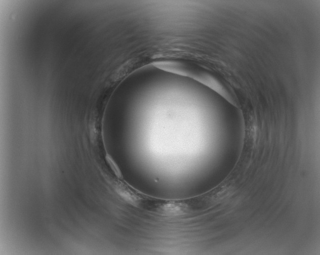 X0000070420566200606161441