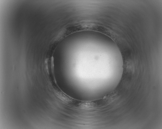 X0000070420567200606161441