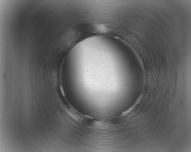 X0000070420568200606161441