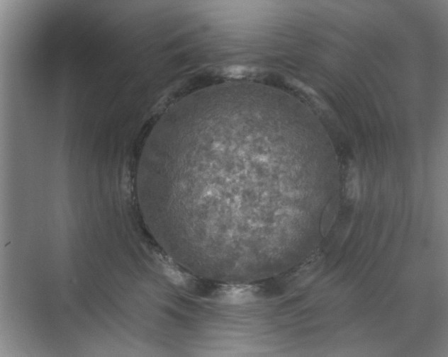 X0000070420569200606161441