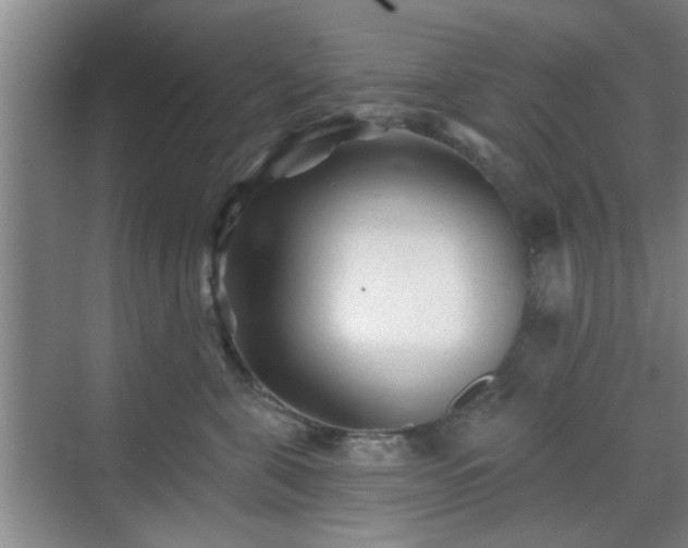 X0000070420571200606161441