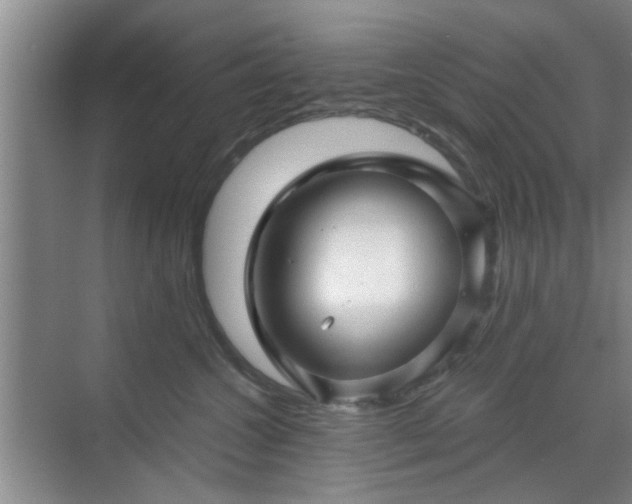 X0000070420572200606161441