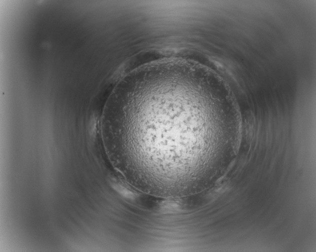 X0000070420574200606161441